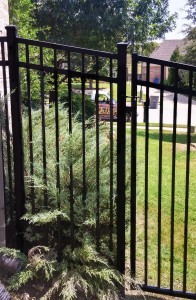 Wrought Iron Fencing Frisco | Metal Fences Frisco