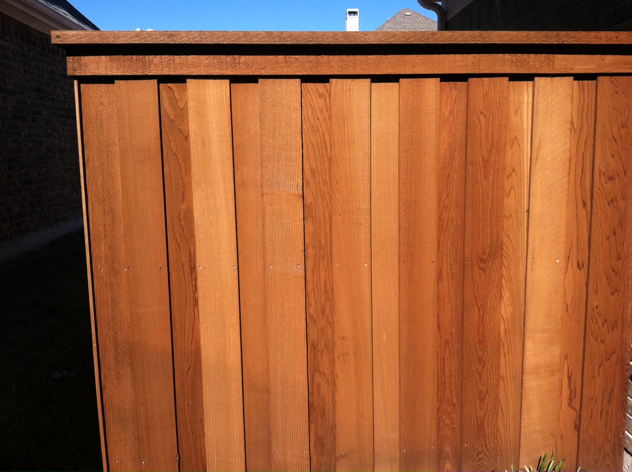 деревянный забор раст фото 42