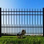 puppy bars for wrought iron fences