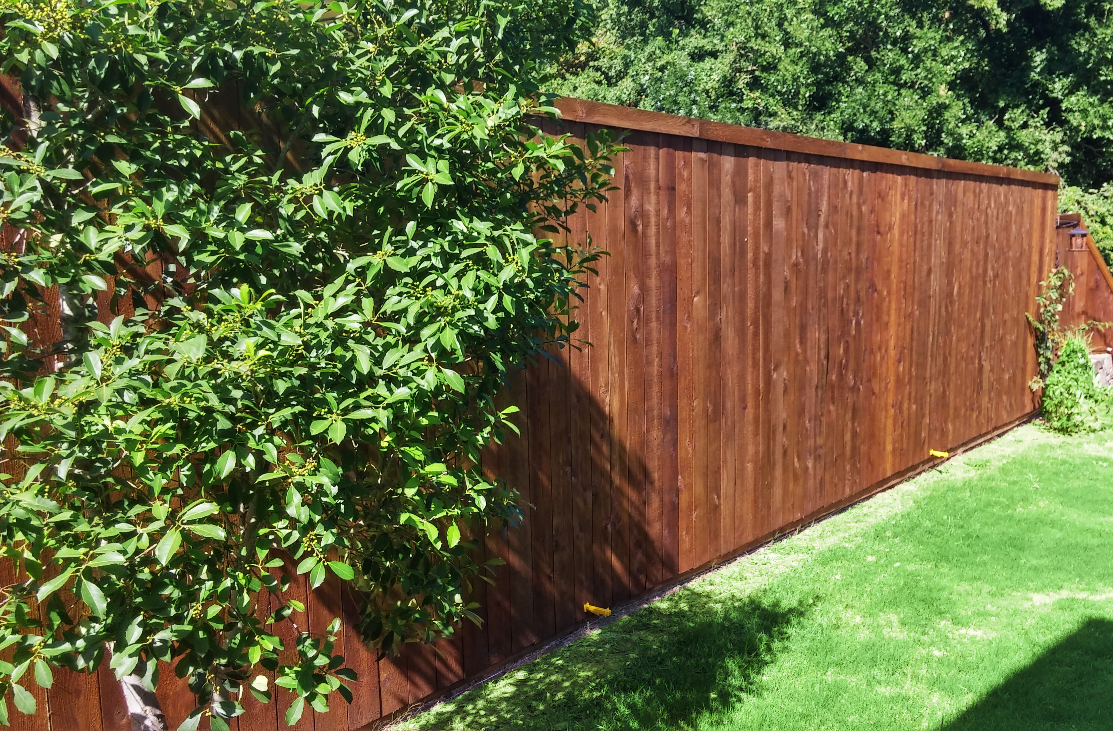 Wood Fence Companies | Lifetime Cedar Wood Fences | Wood Gates